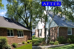 z Metal Shingle Roof_ 1305 Gamon Rd._ Wheaton before after 2