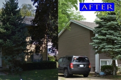 10 Vinyl Siding_ 136 West Melody Lane_ Woodstock before after